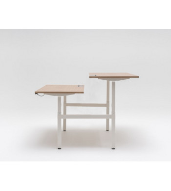 LINEA OGI DRIVE BENCH