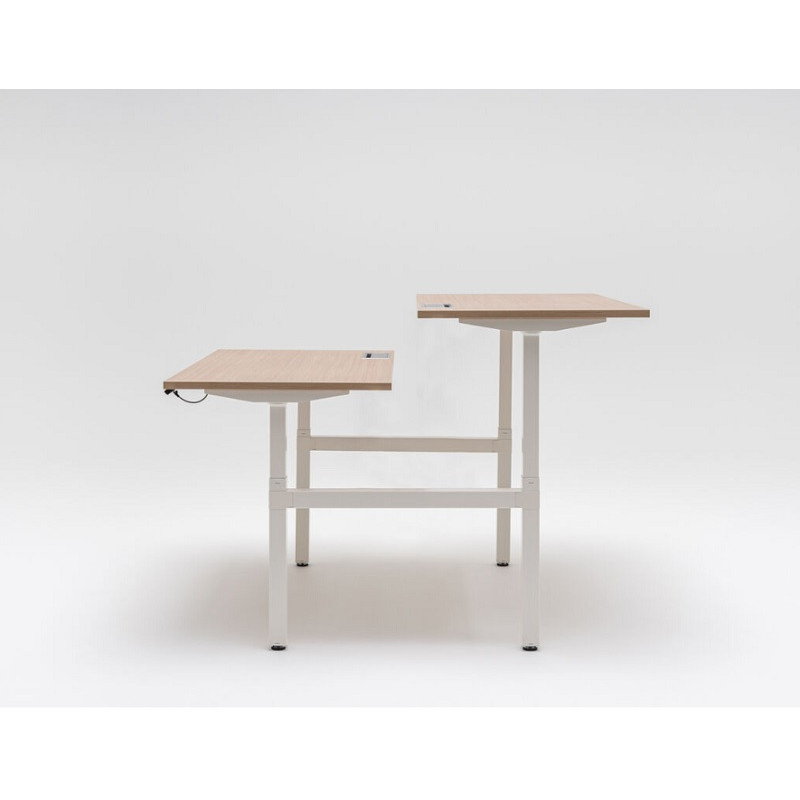 LINEA OGI DRIVE BENCH