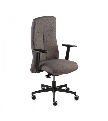 XL +  Sillón Medio Direccional